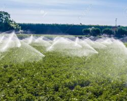 AGRICULTURE TECHNOLOGY